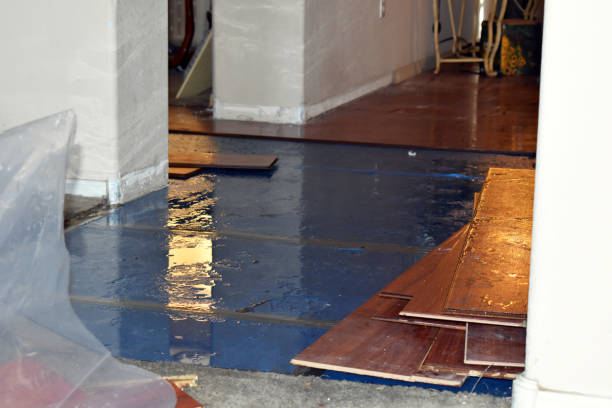 Professional Basement Flood Cleanup technician working in Lutz, FL