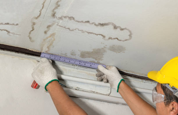Reliable Basement Flood Cleanup contractor in Lutz, FL by Aqua Guard Water Damage
